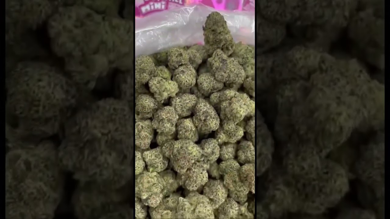 Oops All Mini Pink Blast & Blue Burst Review | Top Cannabis Pre-Rolls 2024 #EDSA #cannabiseducation