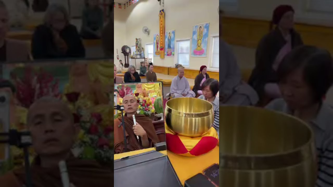 2026-2-8 Sharing and QA