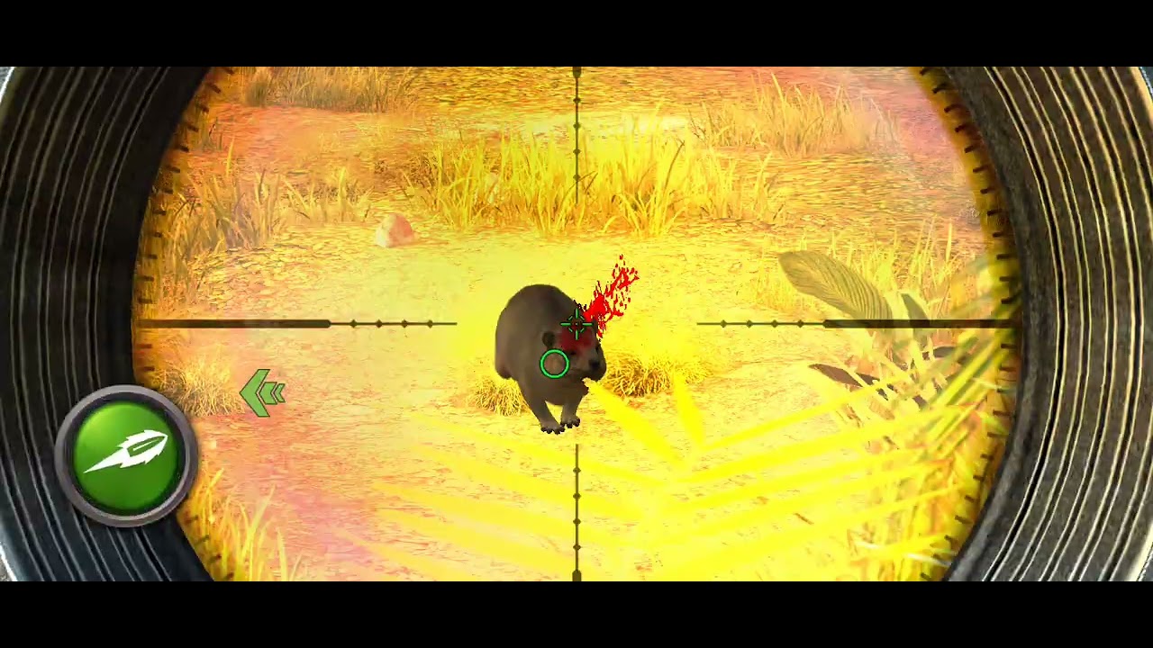 Hunting clash #12 Basin Congo 