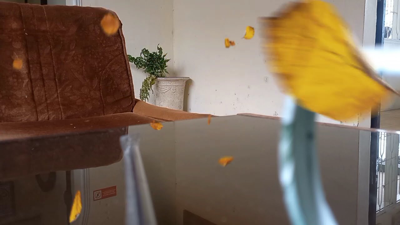 THOMAS ARYA_ LAGU PALING POPULER MINGGU INI | TANPA IKLAN