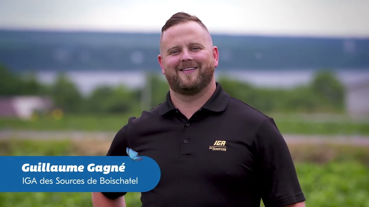 Dans le champ de fraises avec nos marchands