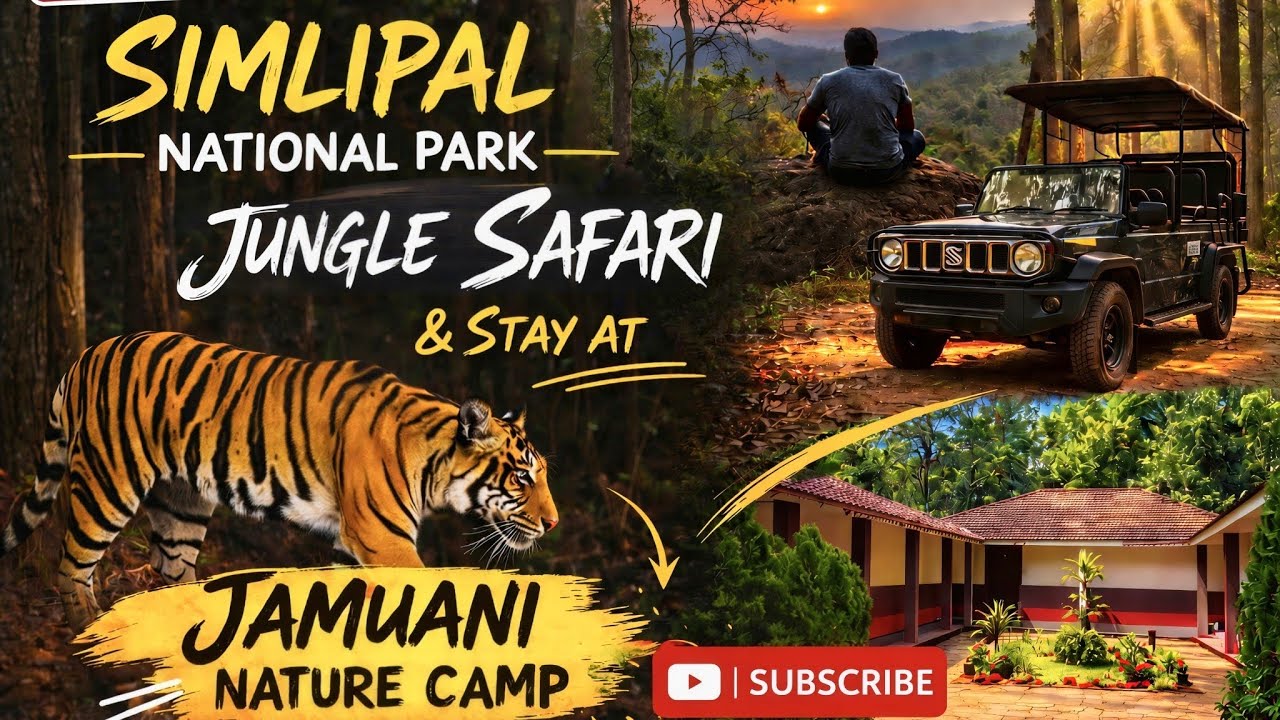 EP 1| সিমলিপালের জঙ্গলে বাঘ দেখলাম! Simlipal National Park | JAMUANI Nature Camp | Jungle Safari |