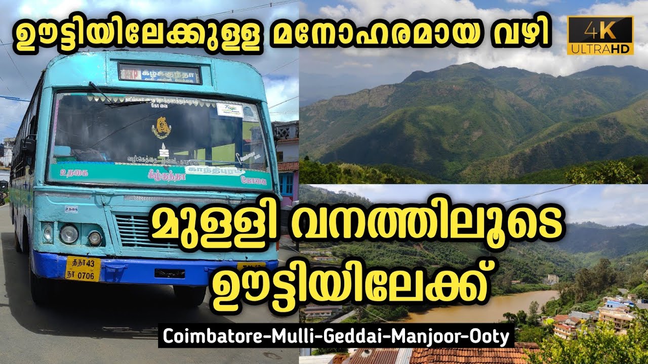 Tnstc Ooty Trip | Via Mulli Forest | Coimbatore To Ooty | Beautiful Route #ooty #mulli #coimbatore