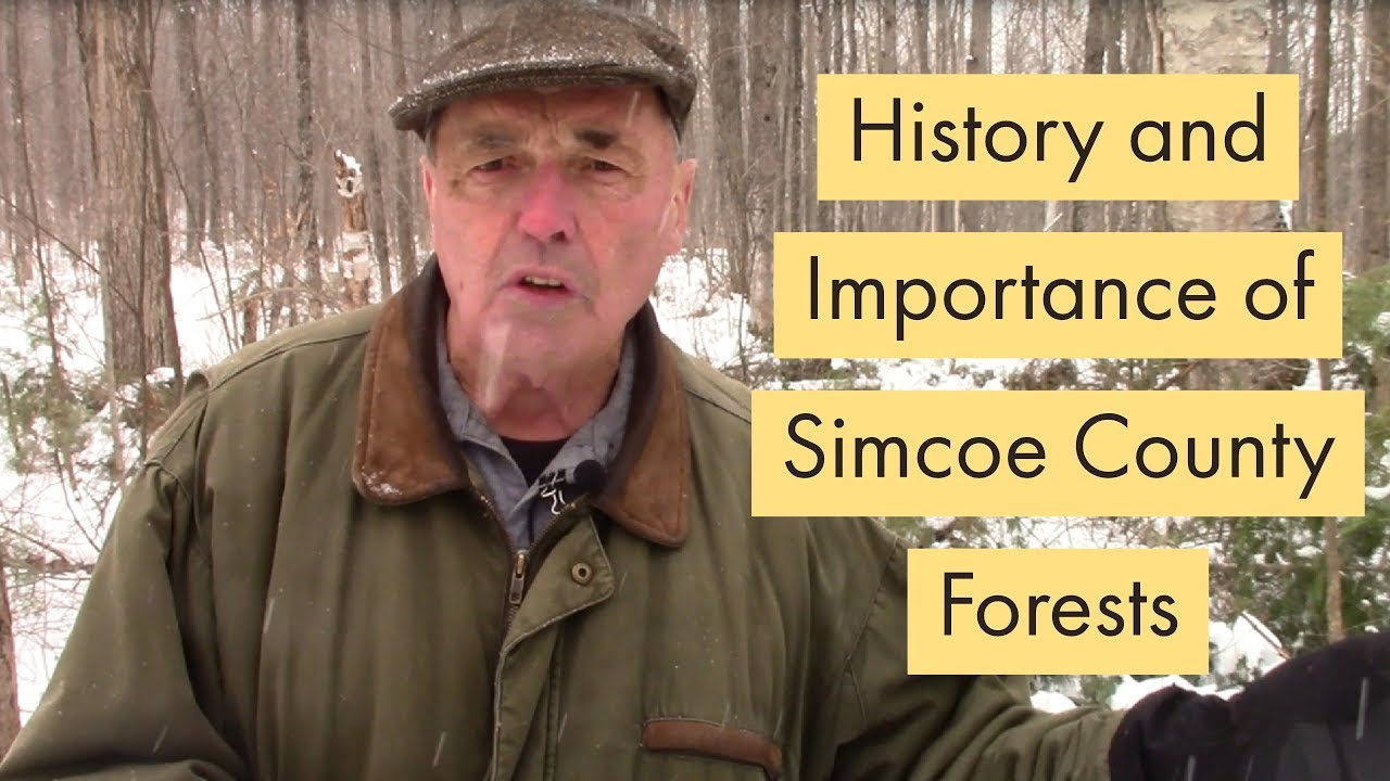 History and Importance of Simcoe County Forests