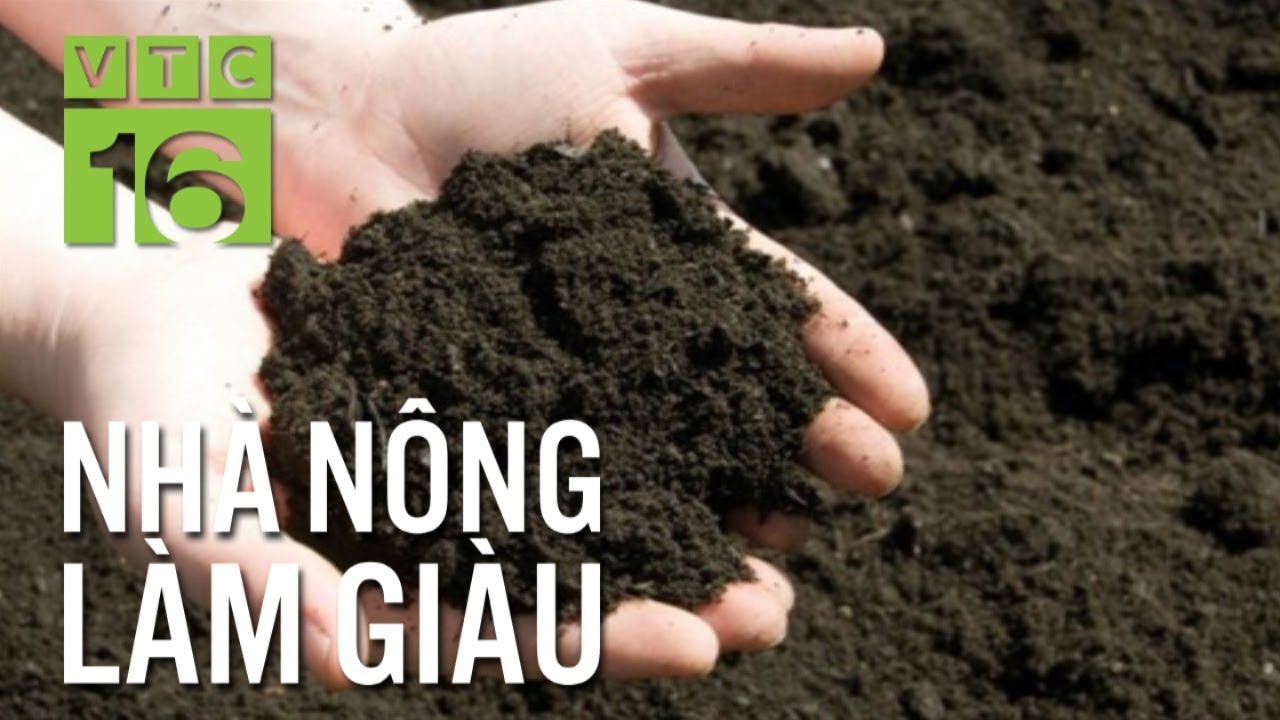 C&aacute;ch ủ ph&acirc;n vi sinh từ chất thải chăn nu&ocirc;i | VTC16