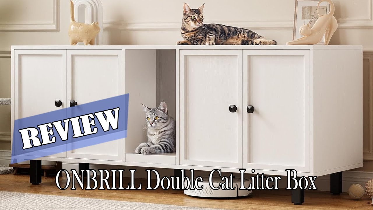 ONBRILL Double Cat Litter Box Review - Is It Worth It?
