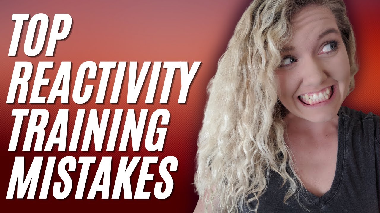 5 Things NOT to Do In Reactive Dog Training