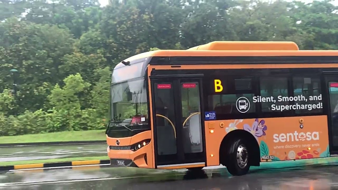 PD3134S svc B arriving BYD BC12A04
