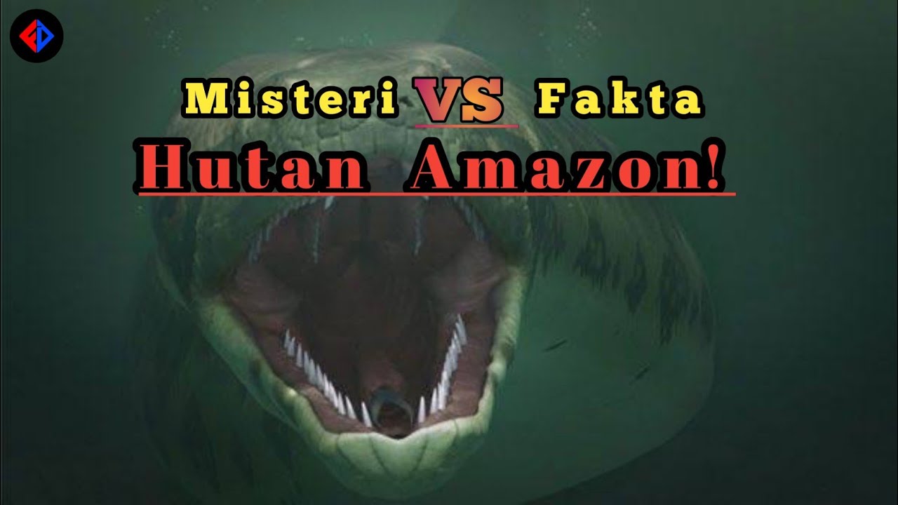 fakta Penemuan Mencengangkan di hutan hujan AMAZON!