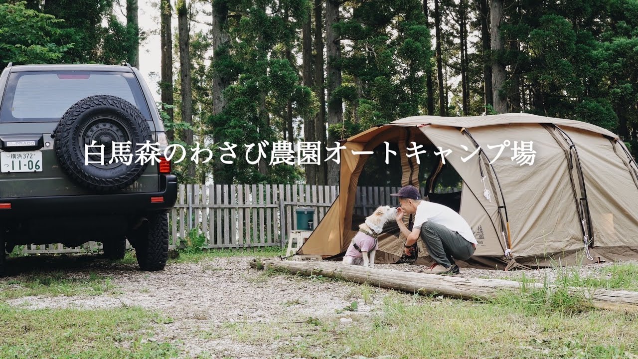 【犬とキャンプ】過去イチ！広いドックフリーサイトで愛犬と楽しむ夏キャンプ＠白馬森のわさび農園オートキャンプ場｜アポロンS