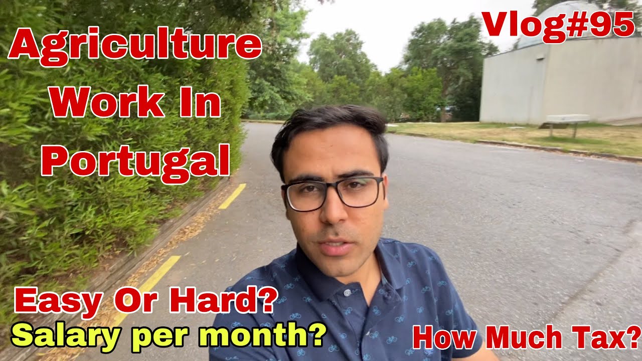 Agriculture Work In Portugal | Agriculture Jobs In Portugal | Agriculture In Portugal |Portugal Jobs