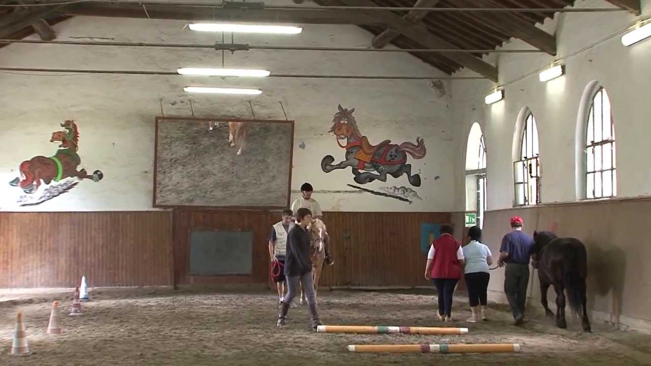 novità per il Centro di riabilitazione ex Stalloni di Crema