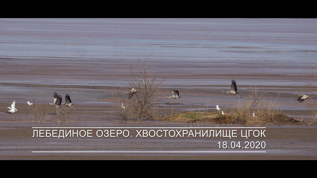 Лебединое озеро. Кривой Рог. Хвостохранилище ЦГОК.
