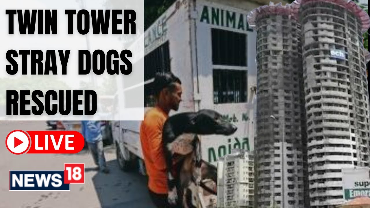 Twin Tower Noida Demolition | Twin Towers Demolition | Noida News | English News | News18 Live
