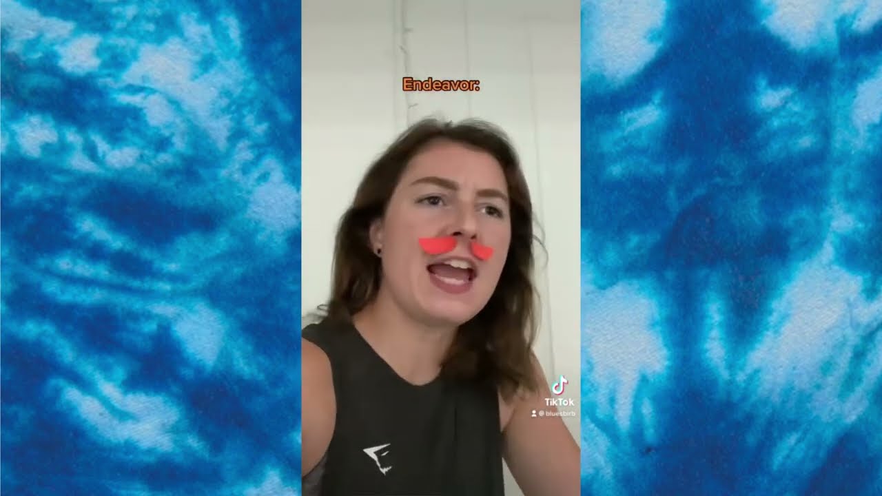 My Hero Academia: Endeavor joins the PTA |Bluesbirb TikTok Compilation|