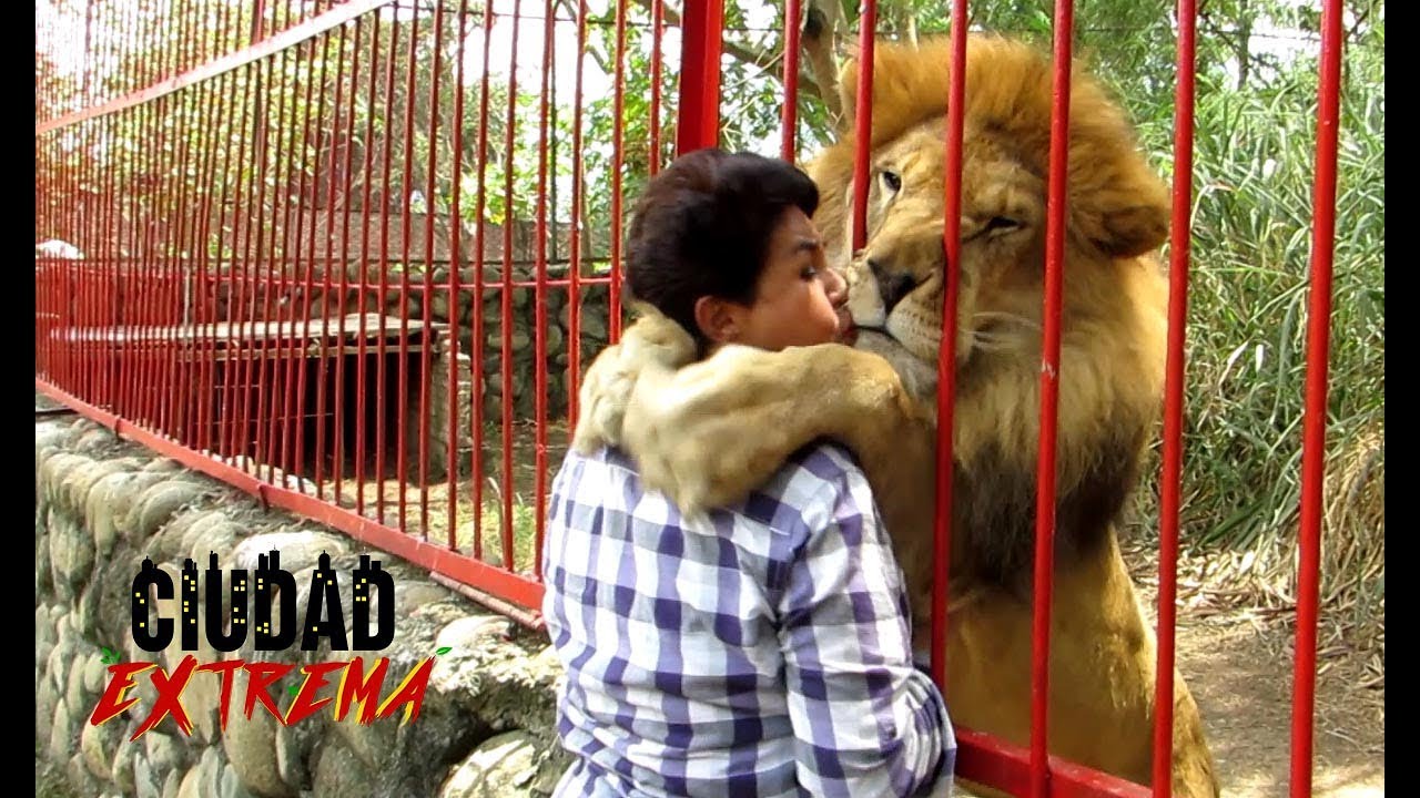 46 Villa Lorena el resguardo animal de Cali necesita tu ayuda