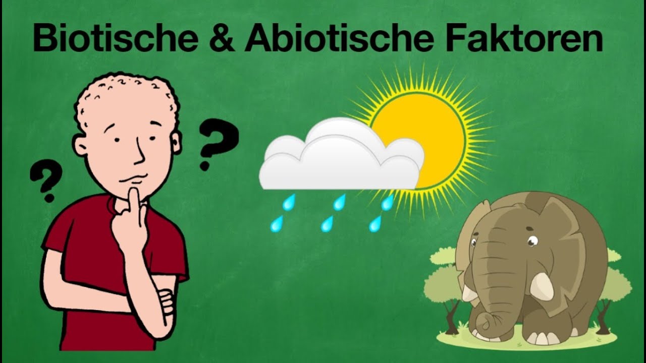 Abiotische und Biotische Faktoren im Überblick