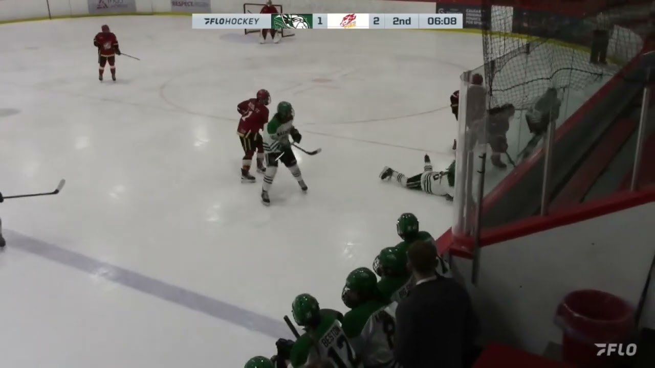 Calgary Fire Red U18 AAA - Rocky Mountain Raiders U18 AAA Nov 1, 2024