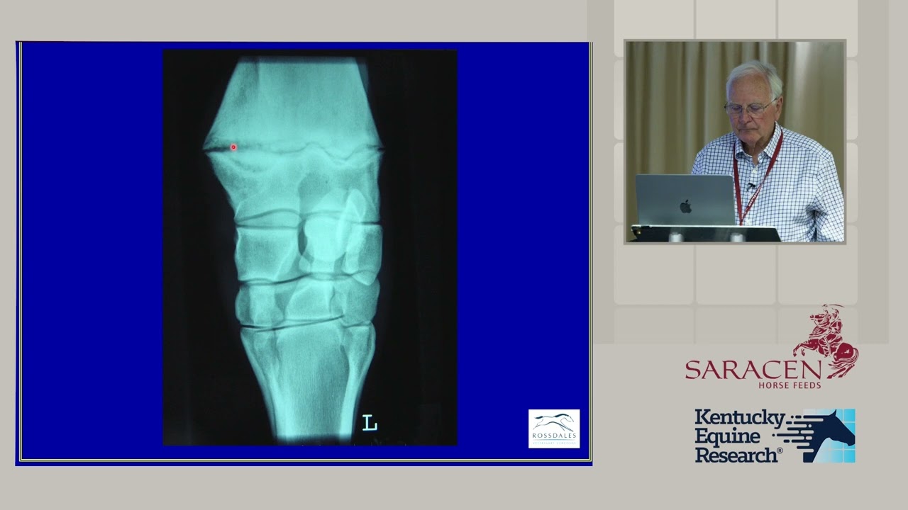 Radiographic Findings and Developmental Orthopedic Disease Concerns for Sales and Racing Prospects