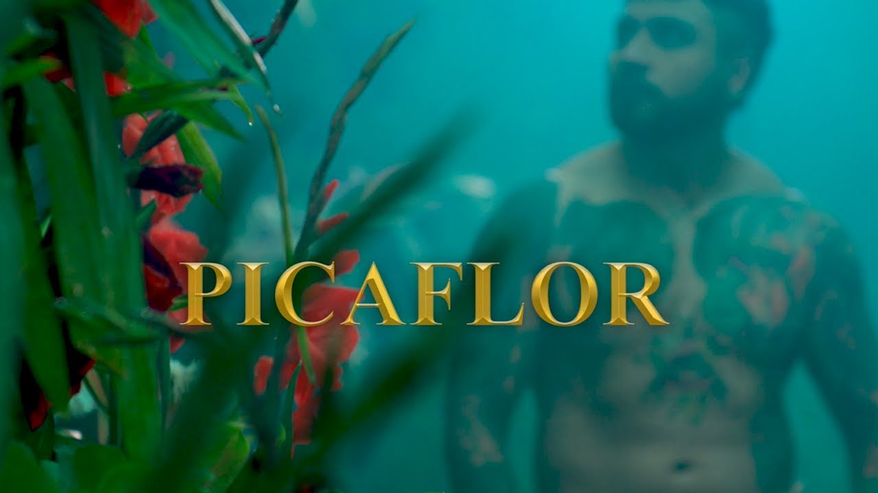 El Picaflor - Chila Jatun Ft Edwin Castellanos