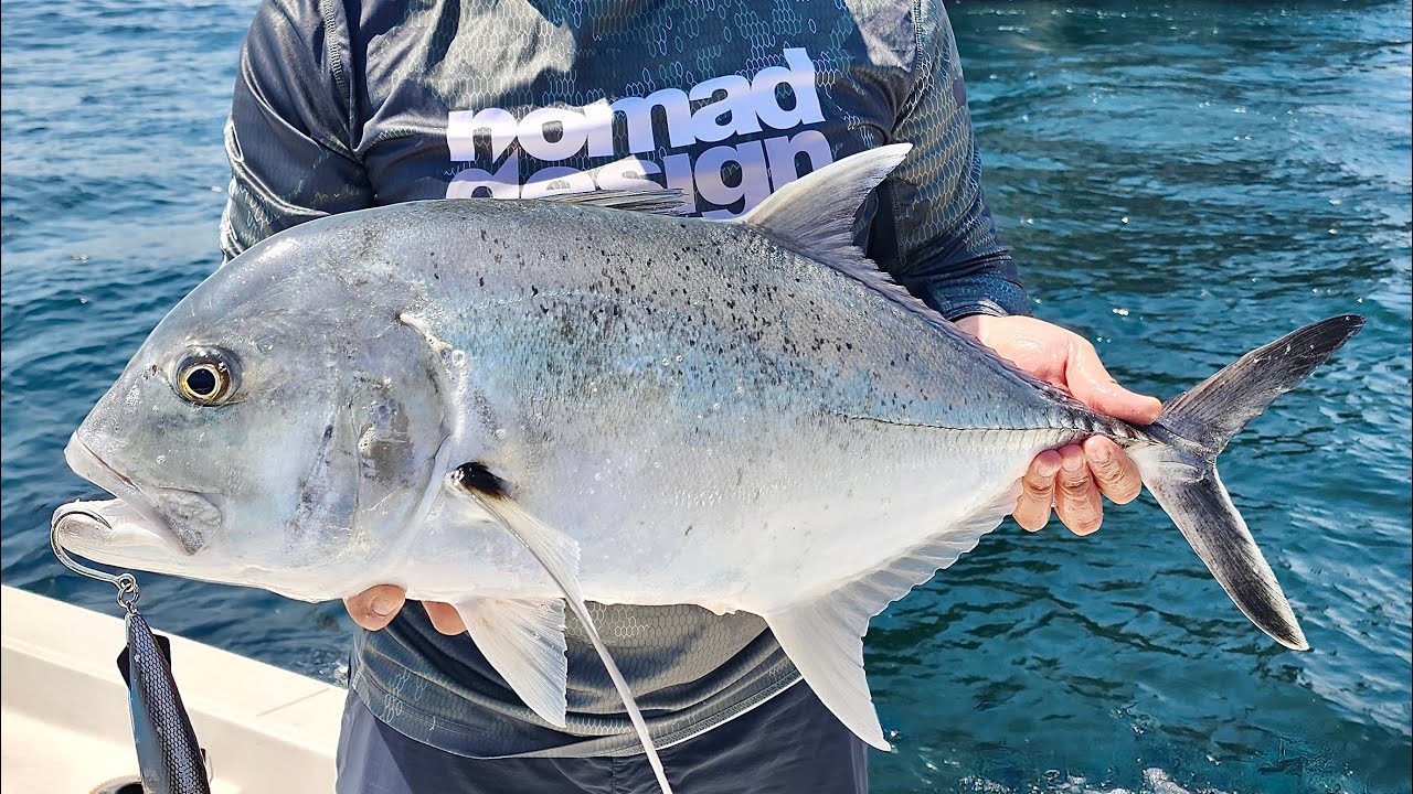 Offshore Fishing in Oman, Musandam/ Khassab