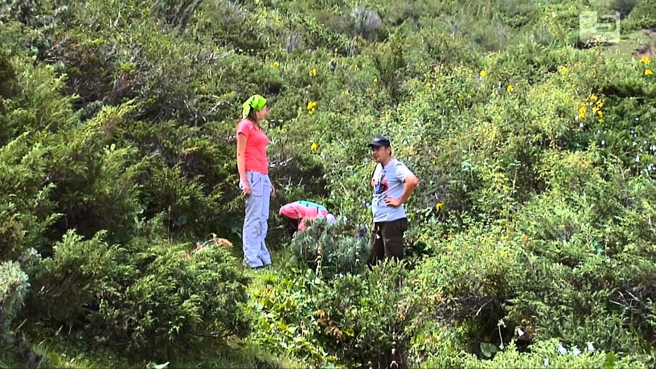 Жайлоо  Эпизод 5