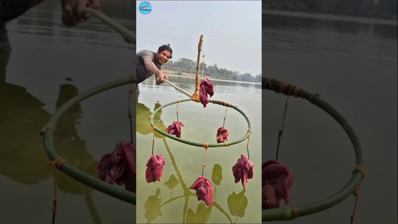 Unbelievable technique chicken liver trap fishing system 