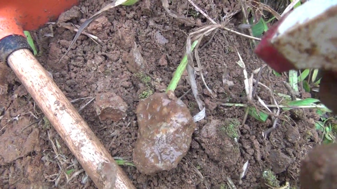 Pedras preciosas no estado bruto ficam assim na natureza !!!