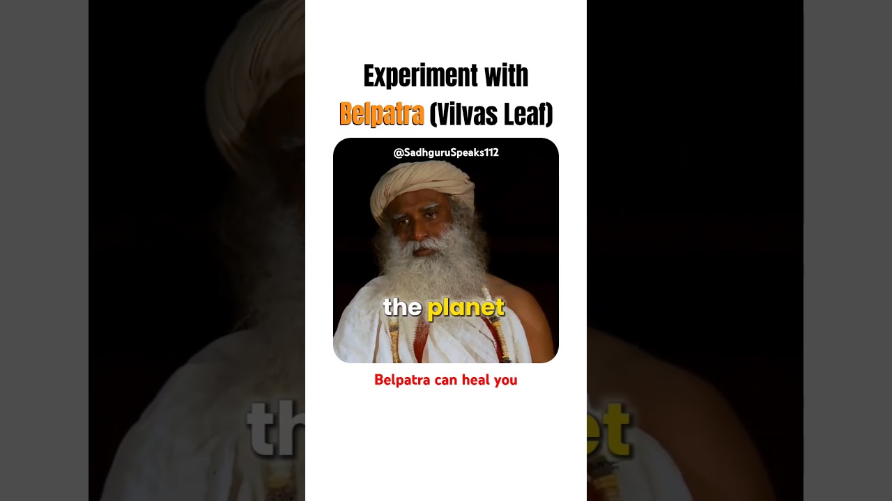 DON'T SKIP 🖐️🥺 Shiva likes #BILWA #Leaf #sadhguru #belpatra #vilvaleaf #motivation #sadhgurulatest