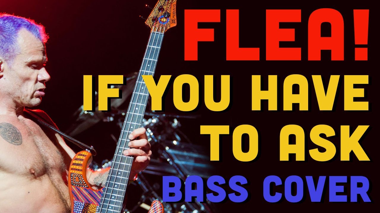 Red Hot Chili Peppers - 'If You Have to Ask' (BASS COVER)