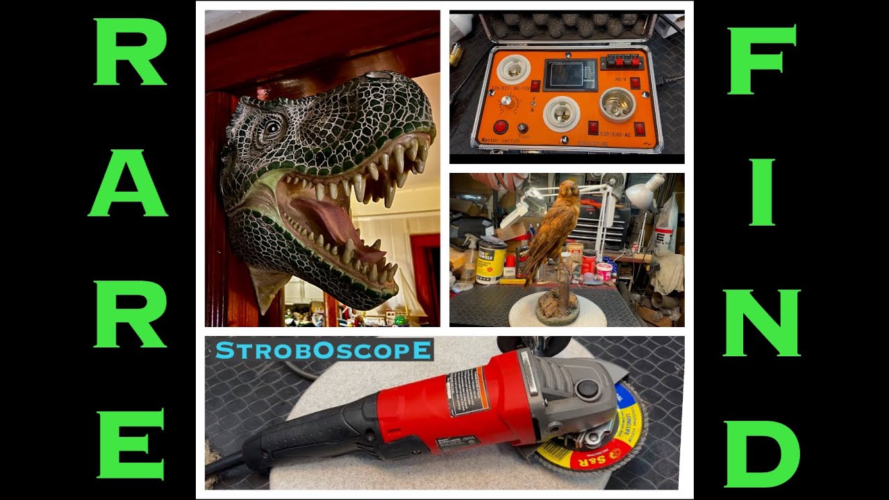 Taxidermy- Stroboscope Test- New Light Bulb Tester.