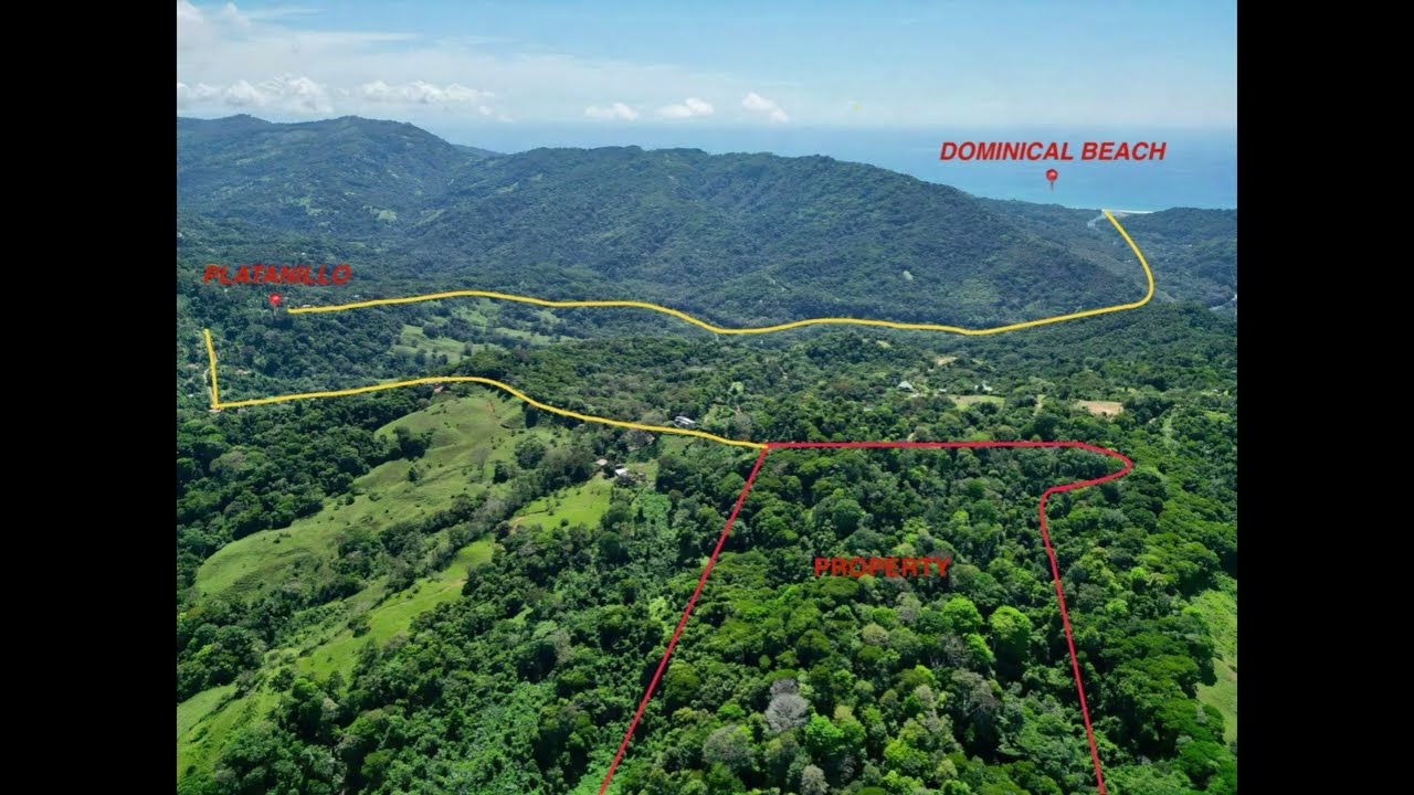 40.7 ACRES – Private Forest with Trails & Multiple Building Sites, 20 Minutes from the Beach!!!