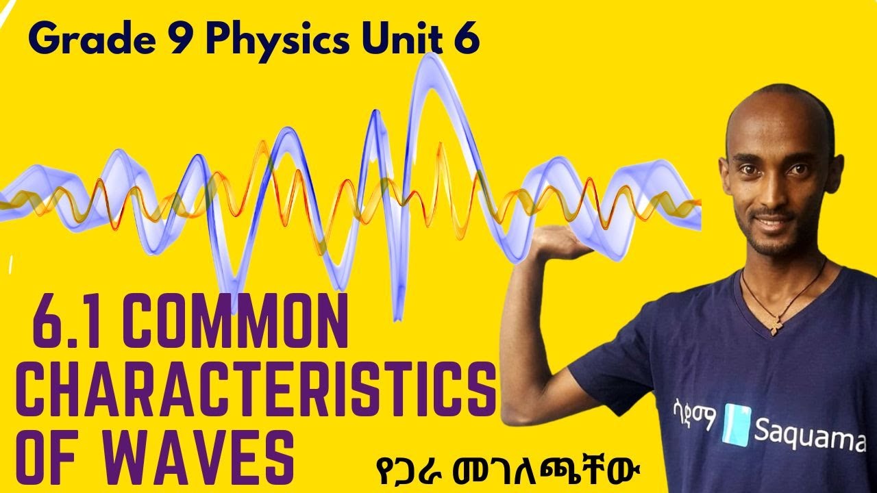 Grade 9 Physics Unit 6 :6.1 Common Characteristics of Waves | Saquama
