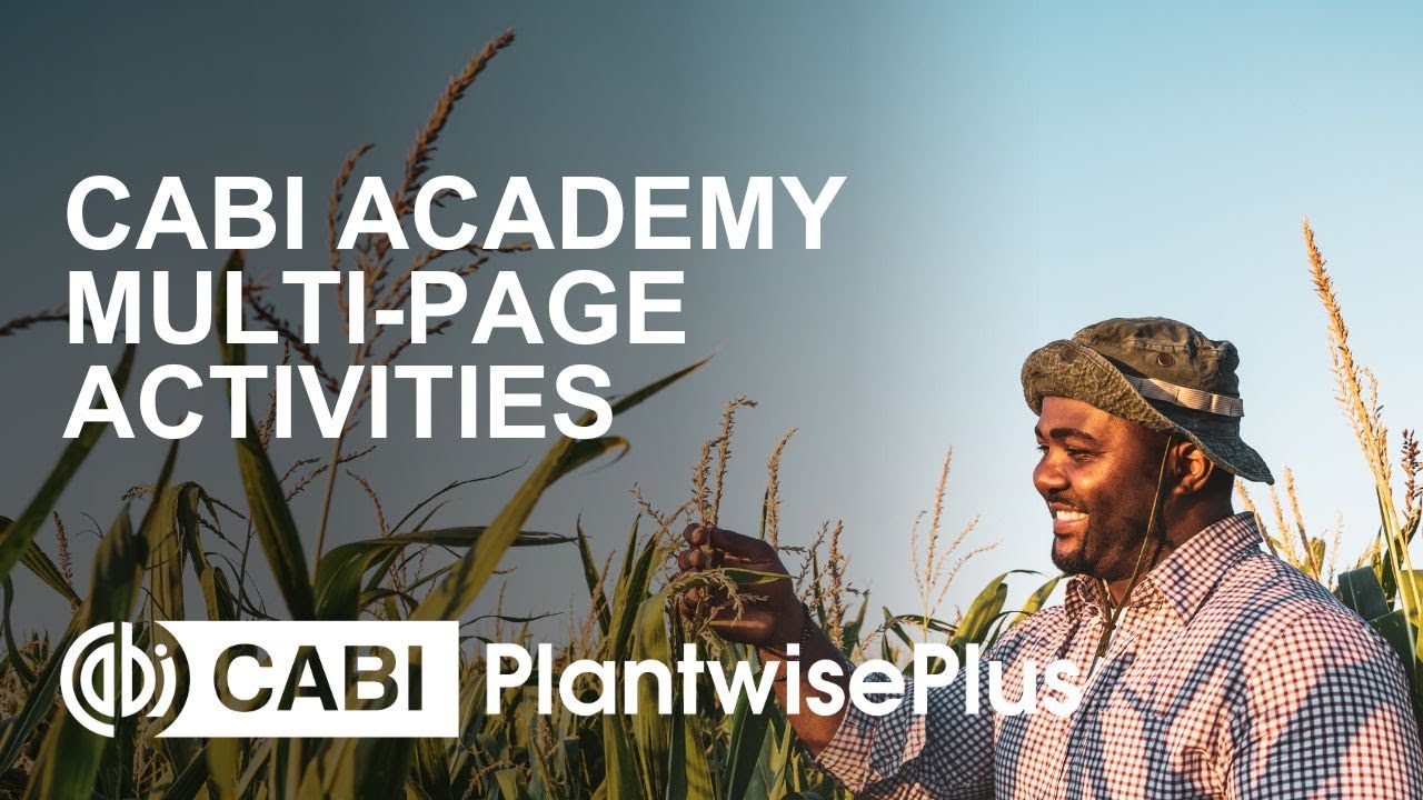 How to complete multi-page activities on CABI Academy