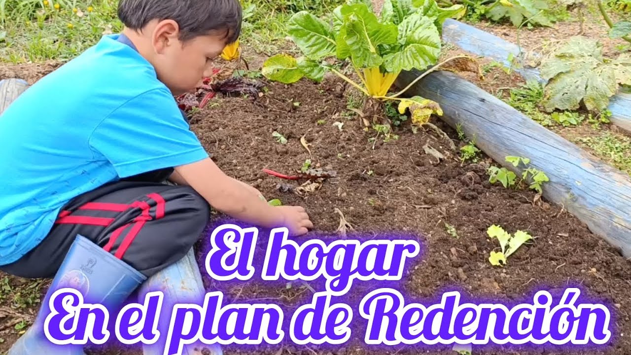 🏡El Hogar en el plan de  Redención/Día de huerta/sembrando plántulas y cosechando algunos productos🥒