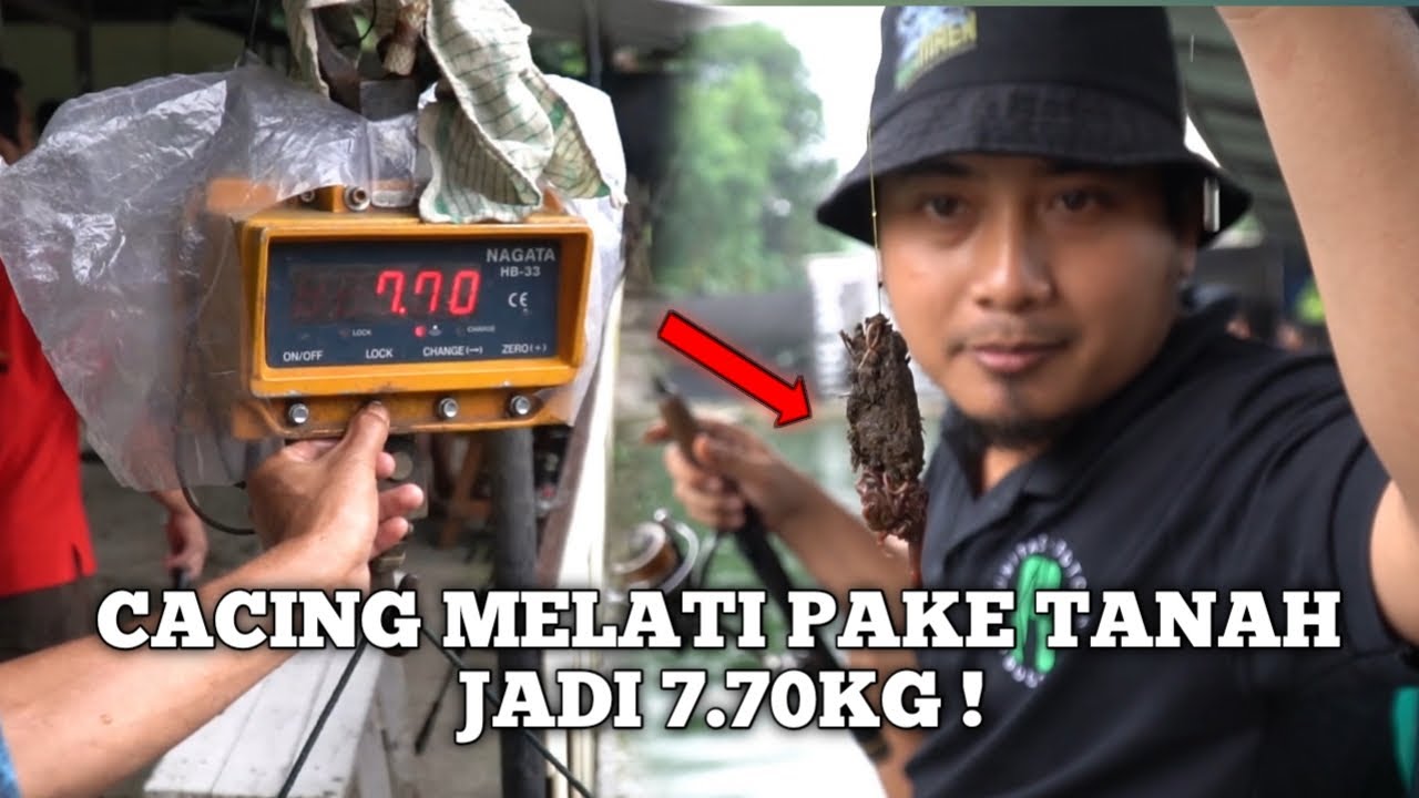 YANG NAIK BABON BABON ! CACING MELATI + SIRAMAN JOMBLO !!
