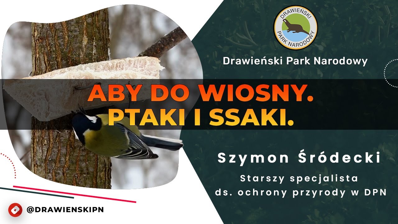 Podcast #71 - Aby do wiosny. Ptaki i ssaki.