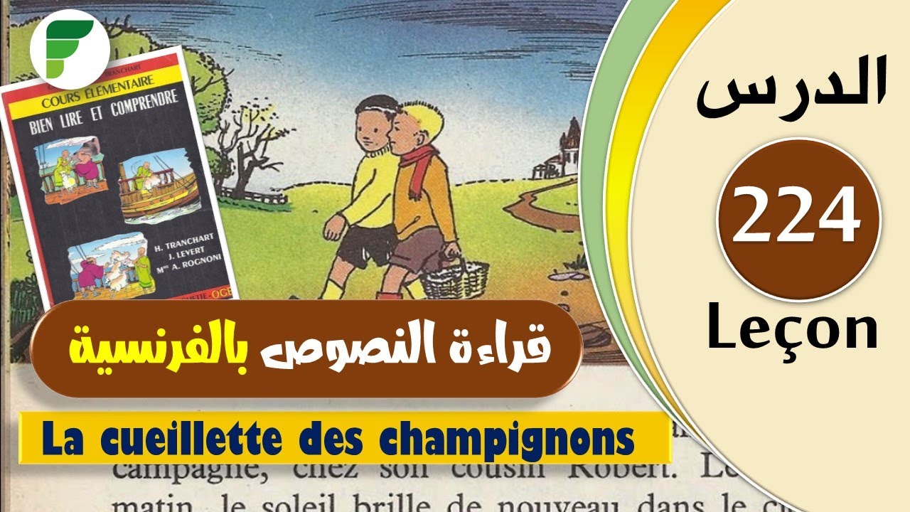 Leçon 224 | La cueillette des champignons