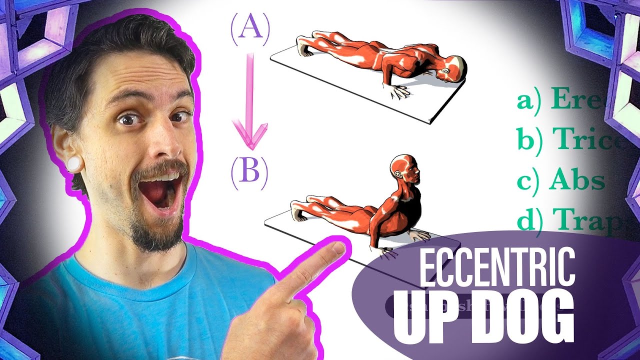 Eccentric vs. Concentric - Chaturanga to Upward Facing Dog | Yoga Anatomy Lesson