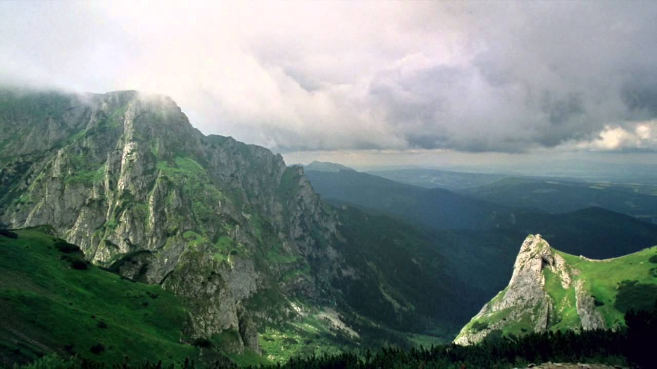 CEEweb for Biodiversity Summer Internship 2014