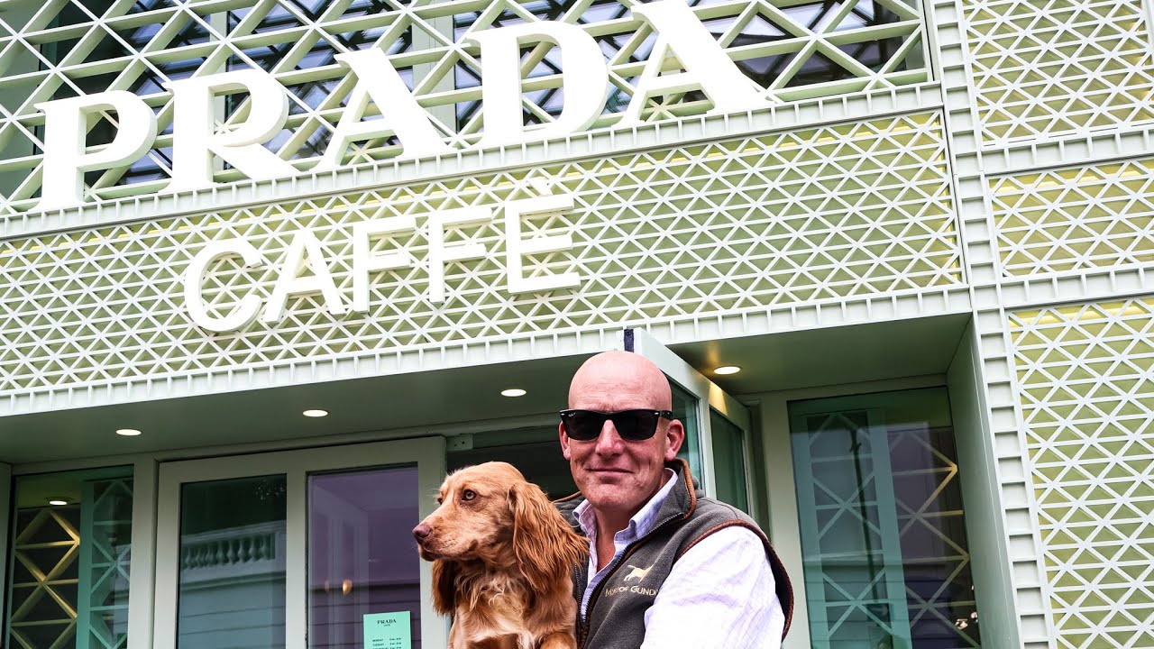 WHAT HAPPENS!? Walking A Young Dog In CENTRAL London