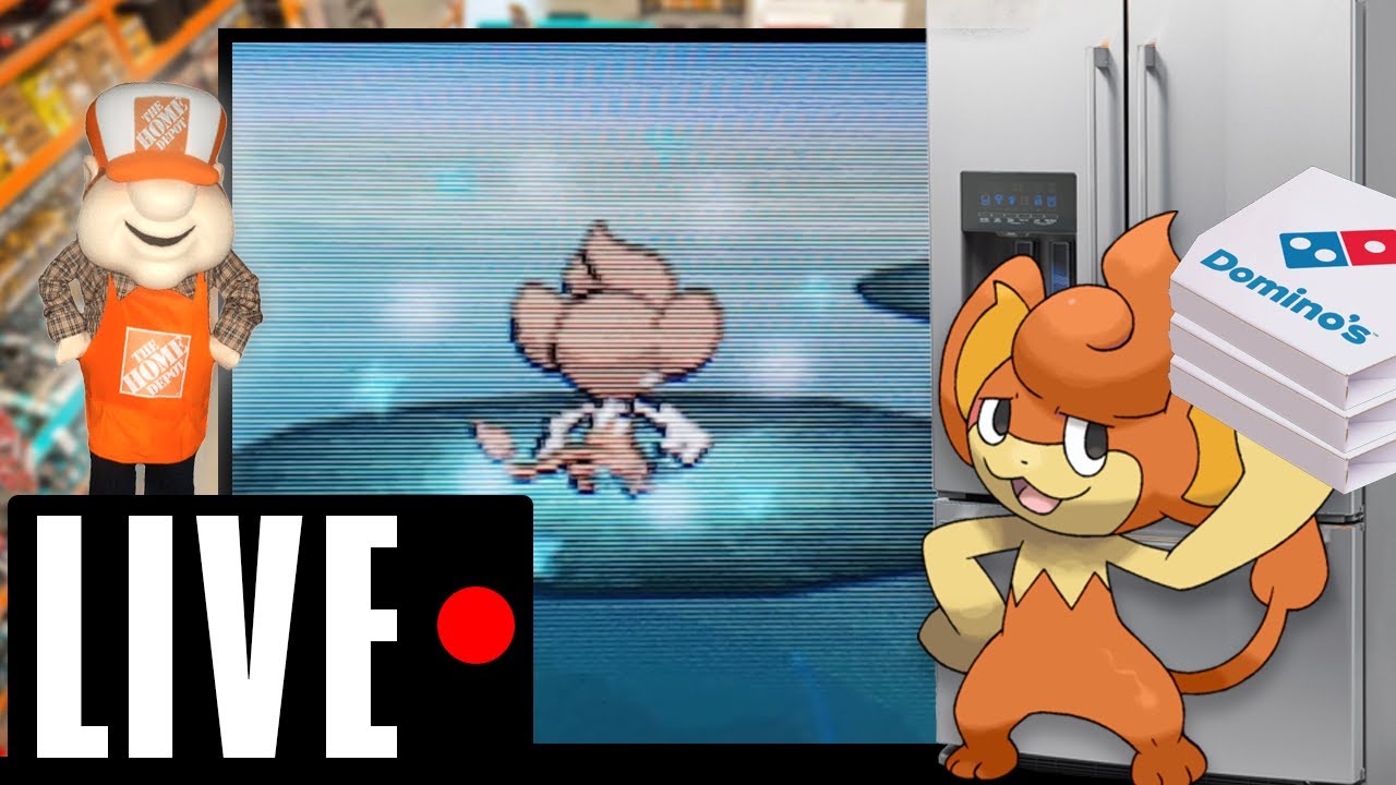 [Hell Quest #3] Live Shiny Pansear after 18,897 Soft Resets on Pokemon White