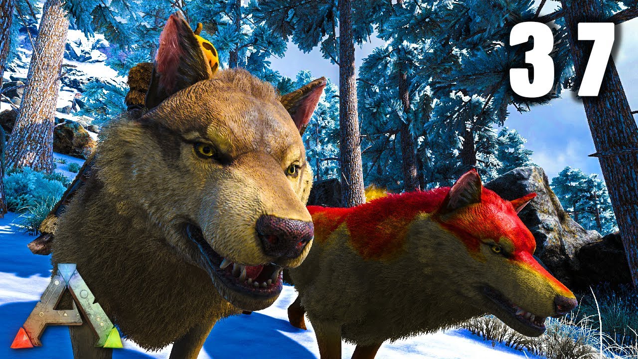 Je capture une meute de Loup - ARK #37