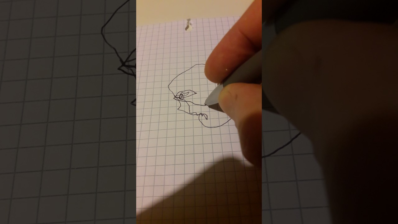 Disegno dal vivo