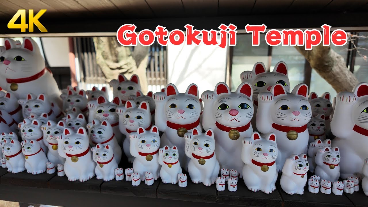 【4K】The Temple of Lucky Cats! Gotokuji(豪徳寺) Walking Tour in Tokyo