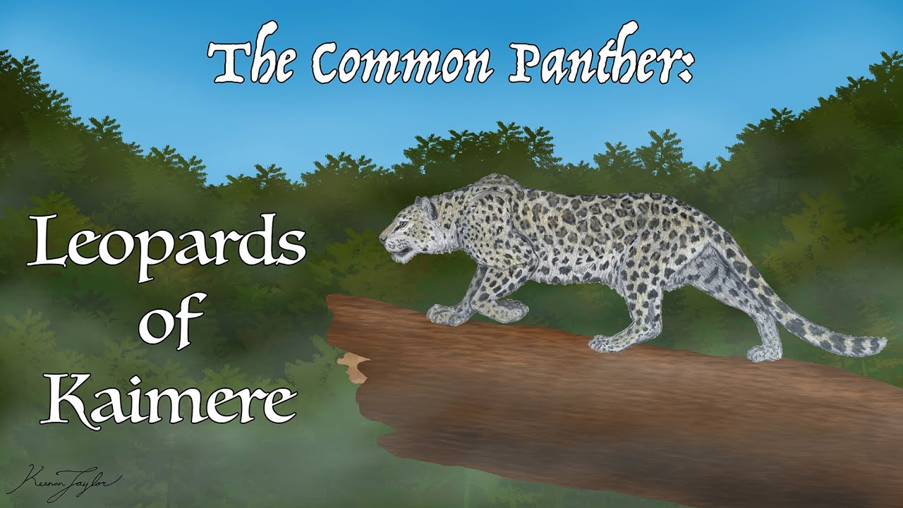 The Common Panther: Leopards of Kaimere