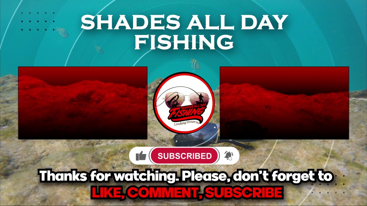 Shades All Day End screen