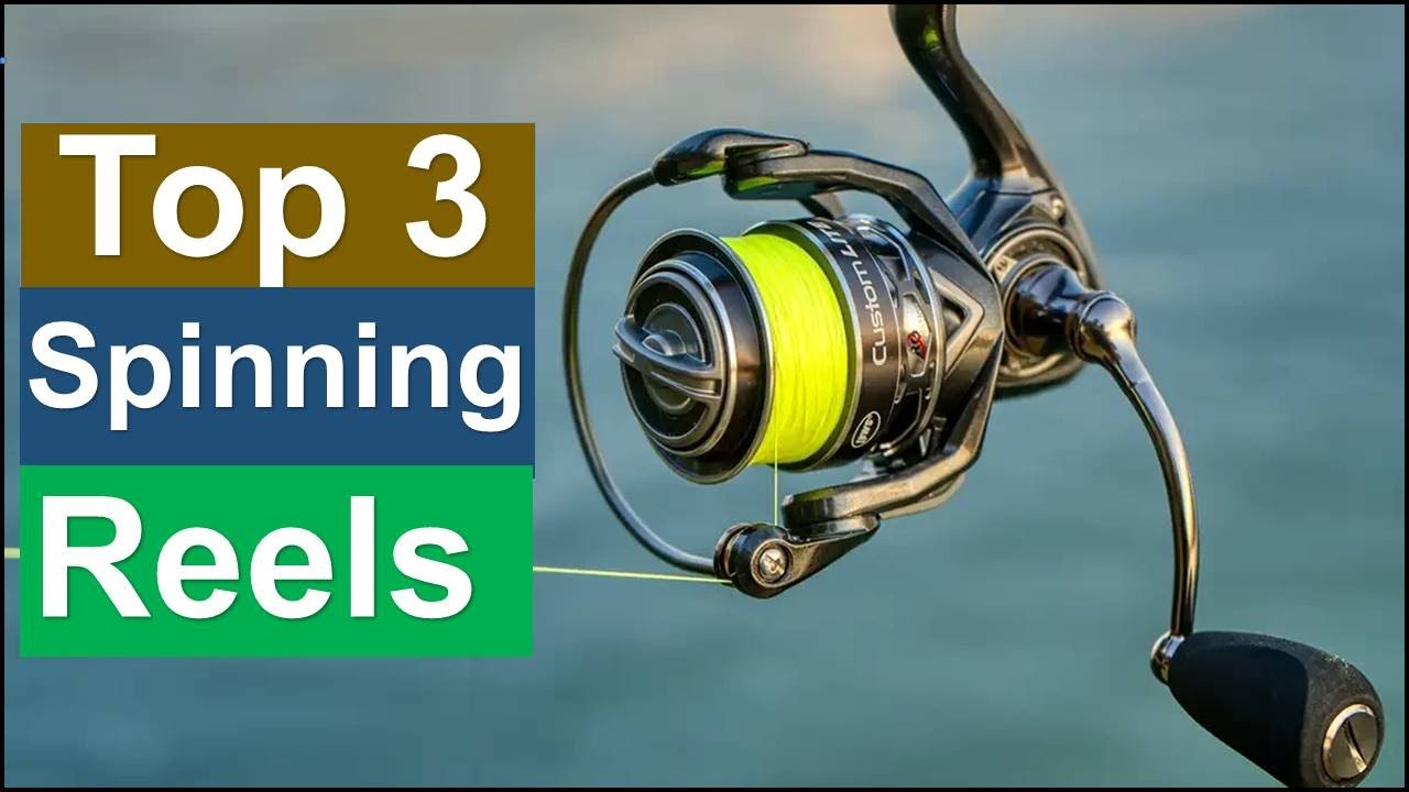 Best Spinning Reels Top 3 2025