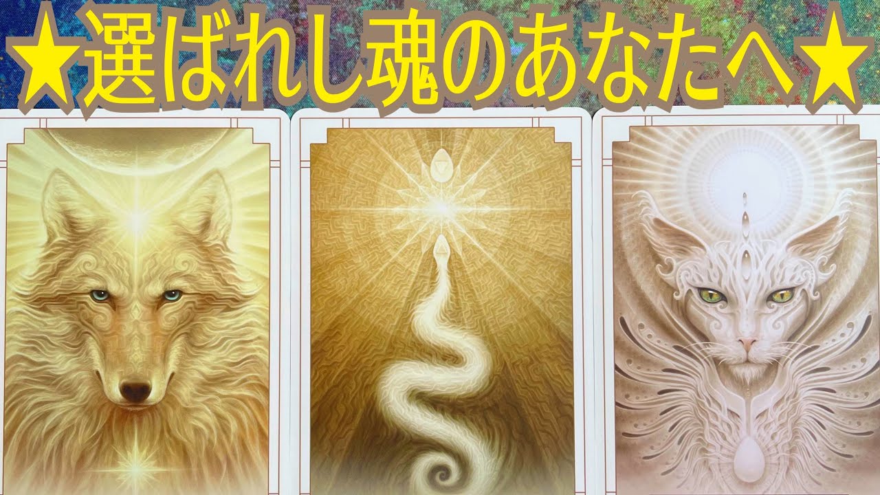 光の封印解除🗝💫天照大神が起動させる本来の力🌞✨超神展開選択肢、出ました〜😭✨