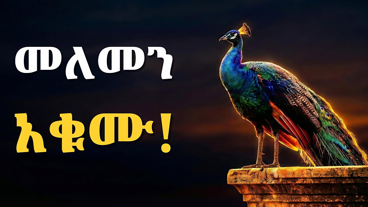 ​በግርማ ሞገስ ብቻ ማሳመን የምትችሉበት የፒኮክ አስተሳሰብ | The Peacock Mindset